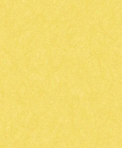 NW-1111